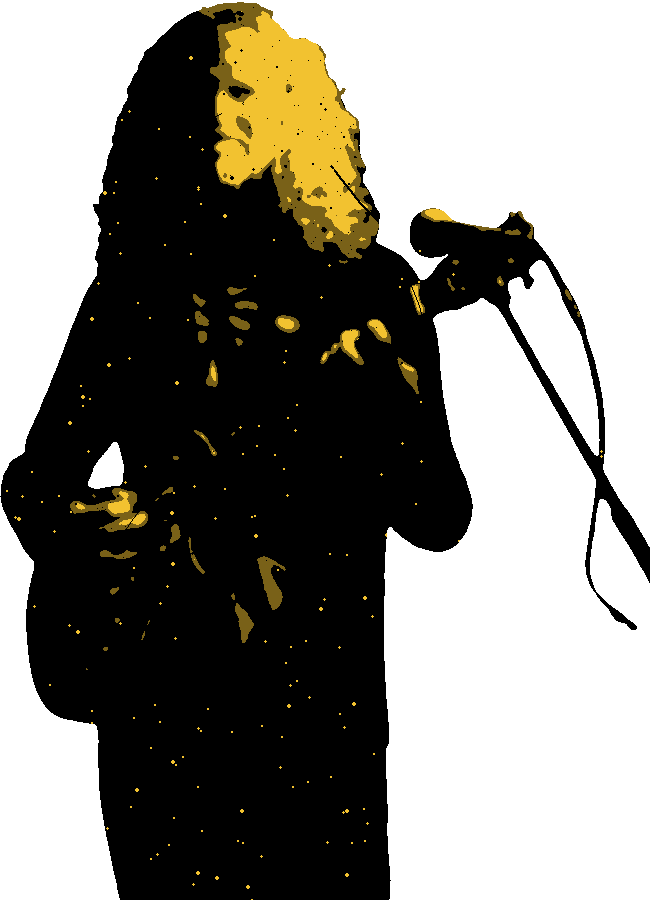 Jaap, gitaar